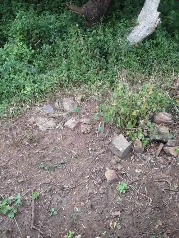 Arulmigu Kannimaar Temple, Kodalvavi - 624702 அருள்மிகு கன்னிமார் திருக்கோயில், Kodalvavi - 624702, Dindigul - Ancient Temple Architecture and History Image 2