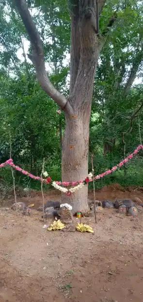 Arulmigu Kannimaar Temple, Kudakipatti - 624401 அருள்மிகு கன்னிமார் திருக்கோயில், Kudakipatti - 624401, Dindigul - Ancient Temple Architecture and History Image 3