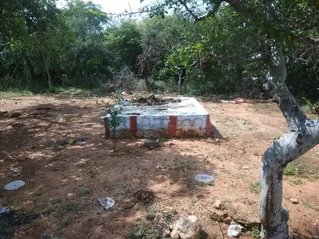 Arulmigu Kannimaar Temple, Nadakottai - 624220 அருள்மிகு கன்னிமார் திருக்கோயில், Nadakottai - 624220, Dindigul - Ancient Temple Architecture and History Image 5