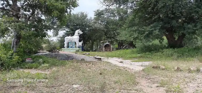 Arulmigu Kannimaar Temple, Palaiyankotai - 624708 அருள்மிகு கன்னிமார் திருக்கோயில், Palaiyankotai - 624708, Dindigul - Ancient Temple Architecture and History Image 3