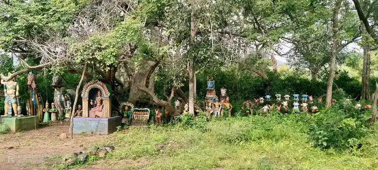 Arulmigu Kannimaar Temple, Panjamthangi - 624801 அருள்மிகு கன்னிமார் திருக்கோயில், Panjamthangi - 624801, Dindigul - Ancient Temple Architecture and History Image 2