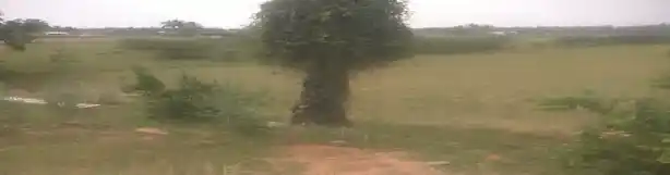 Arulmigu Kannimaar Temple, Pethannaseivaikulam - 624706 அருள்மிகு கன்னிமார் ஆலயம், Pethannaseivaikulam - 624706, Dindigul - Ancient Temple Architecture and History Image 2