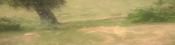 Arulmigu Kannimaar Temple, Pethannaseivaikulam - 624706 அருள்மிகு கன்னிமார் ஆலயம், Pethannaseivaikulam - 624706, Dindigul - Ancient Temple Architecture and History Image 4