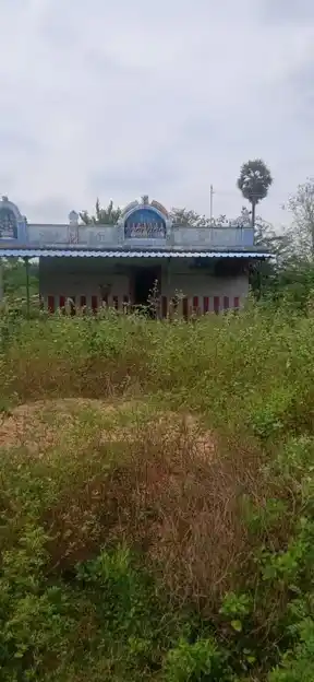 Arulmigu Kannimaar Temple, Raajagiri - 621316 அருள்மிகு கன்னிமார் திருக்கோயில், Raajagiri - 621316, Pudukkottai - Ancient Temple Architecture and History Image 3