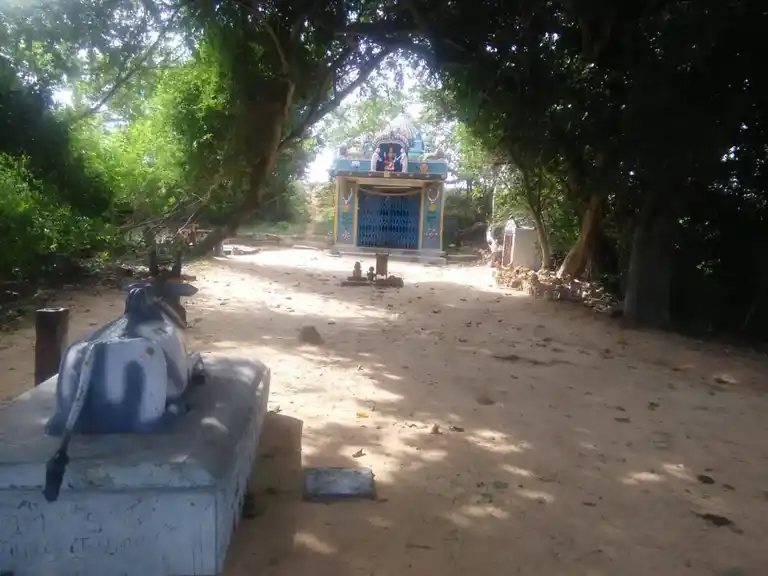 Arulmigu Kannimaar Temple, Saatthampatti - 622402 அருள்மிகு கன்னிமார் திருக்கோயில், சாத்தம்பட்டி - 622402, Pudukkottai - Ancient Temple Architecture and History Image 3