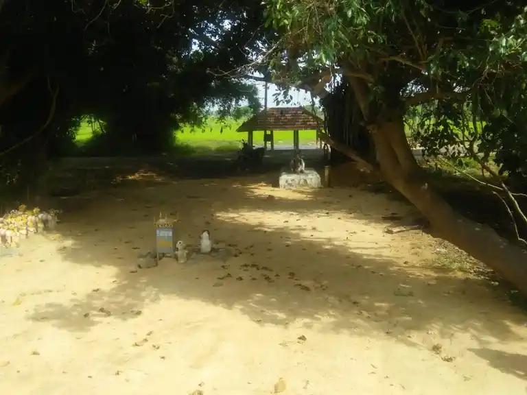 Arulmigu Kannimaar Temple, Saatthampatti - 622402 அருள்மிகு கன்னிமார் திருக்கோயில், சாத்தம்பட்டி - 622402, Pudukkottai - Ancient Temple Architecture and History Image 5