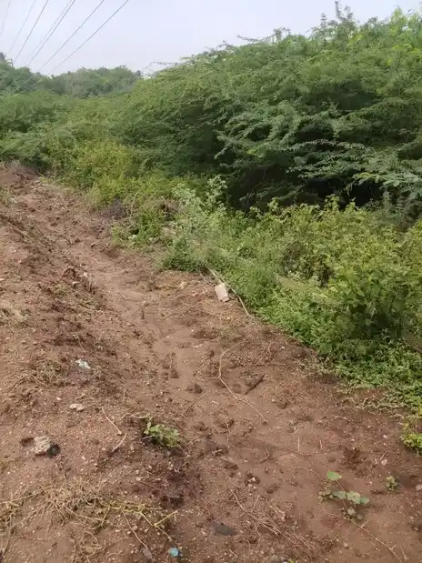 Arulmigu Kannimaar Temple, Seelapadi - 624005 அருள்மிகு கன்னிமார் திருக்கோயில், Seelapadi - 624005, Dindigul - Ancient Temple Architecture and History Image 2