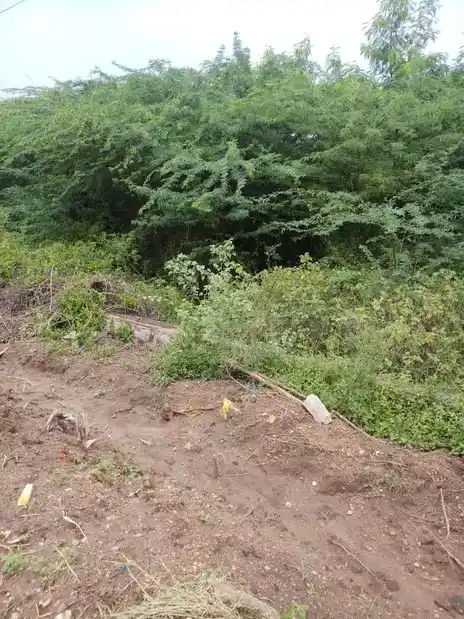 Arulmigu Kannimaar Temple, Seelapadi - 624005 அருள்மிகு கன்னிமார் திருக்கோயில், Seelapadi - 624005, Dindigul - Ancient Temple Architecture and History Image 3