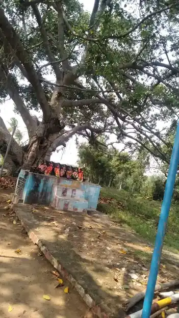 Arulmigu Kannimaar Temple, Seevalsaragu - 624707 அருள்மிகு கன்னிமார் திருக்கோயில், Seevalsaragu - 624707, Dindigul - Ancient Temple Architecture and History Image 2