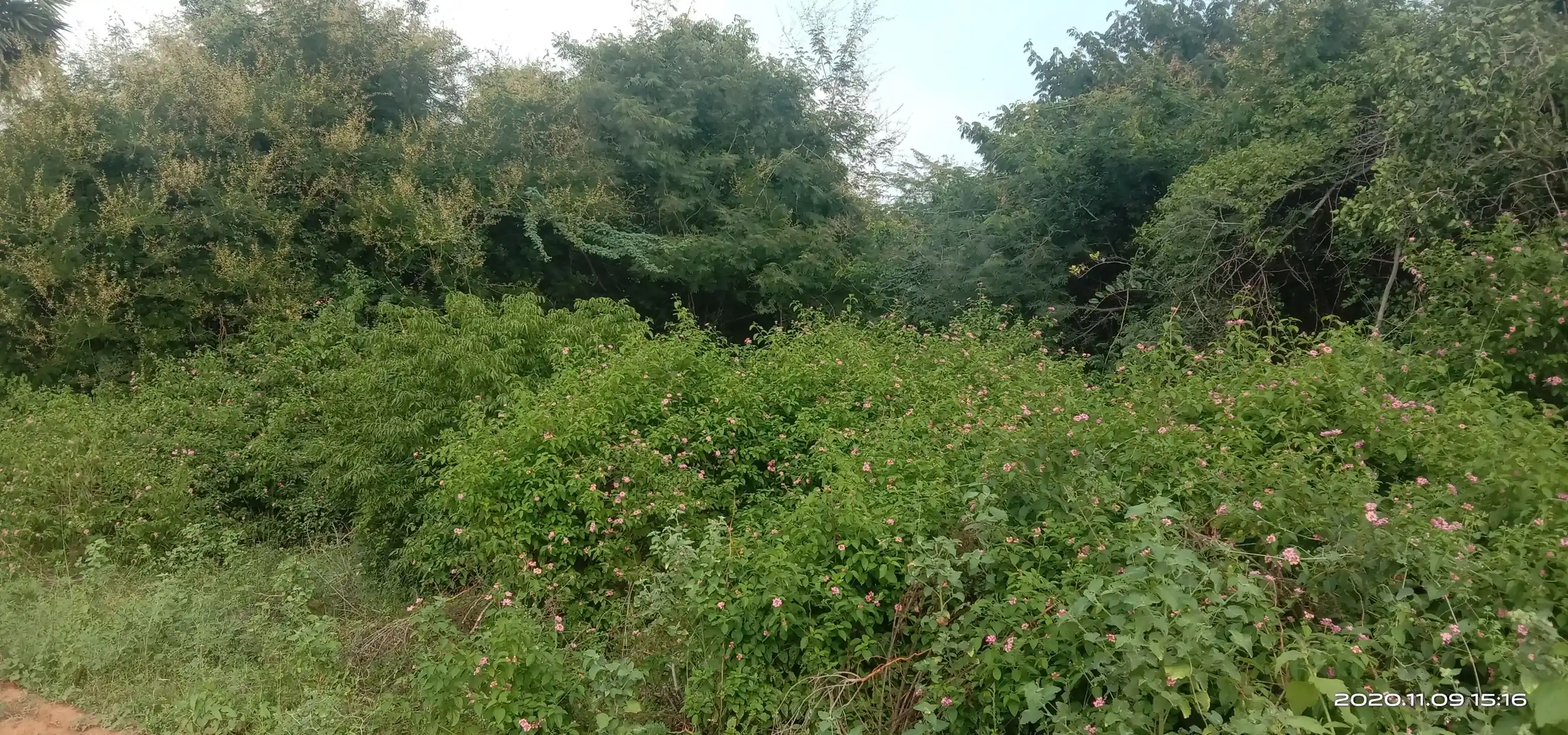 Arulmigu Kannimaar Temple, Sethur - 624401