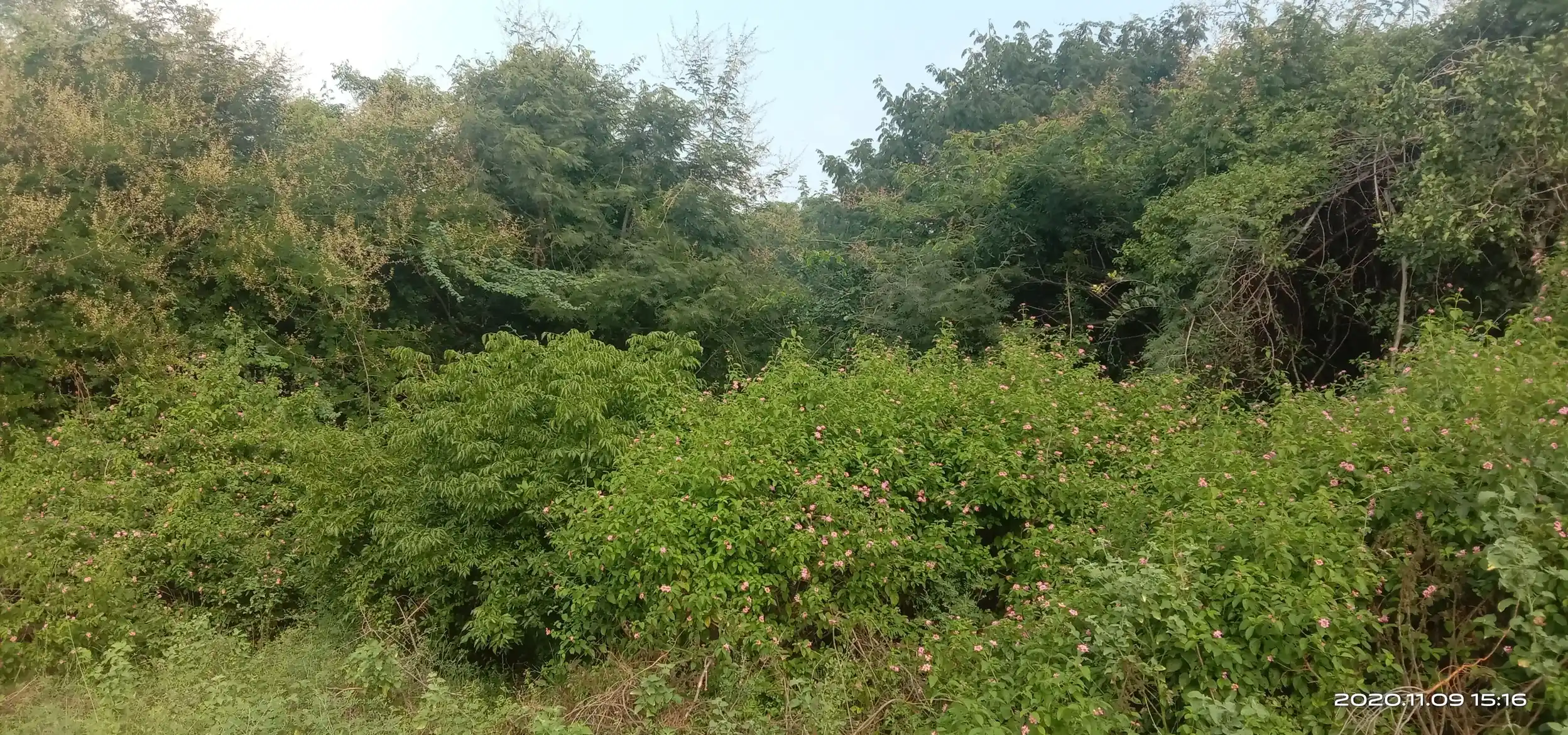 Arulmigu Kannimaar Temple, Sethur - 624401 அருள்மிகு கன்னிமார் திருக்கோயில், Sethur - 624401, Dindigul - Ancient Temple Architecture and History Image 2