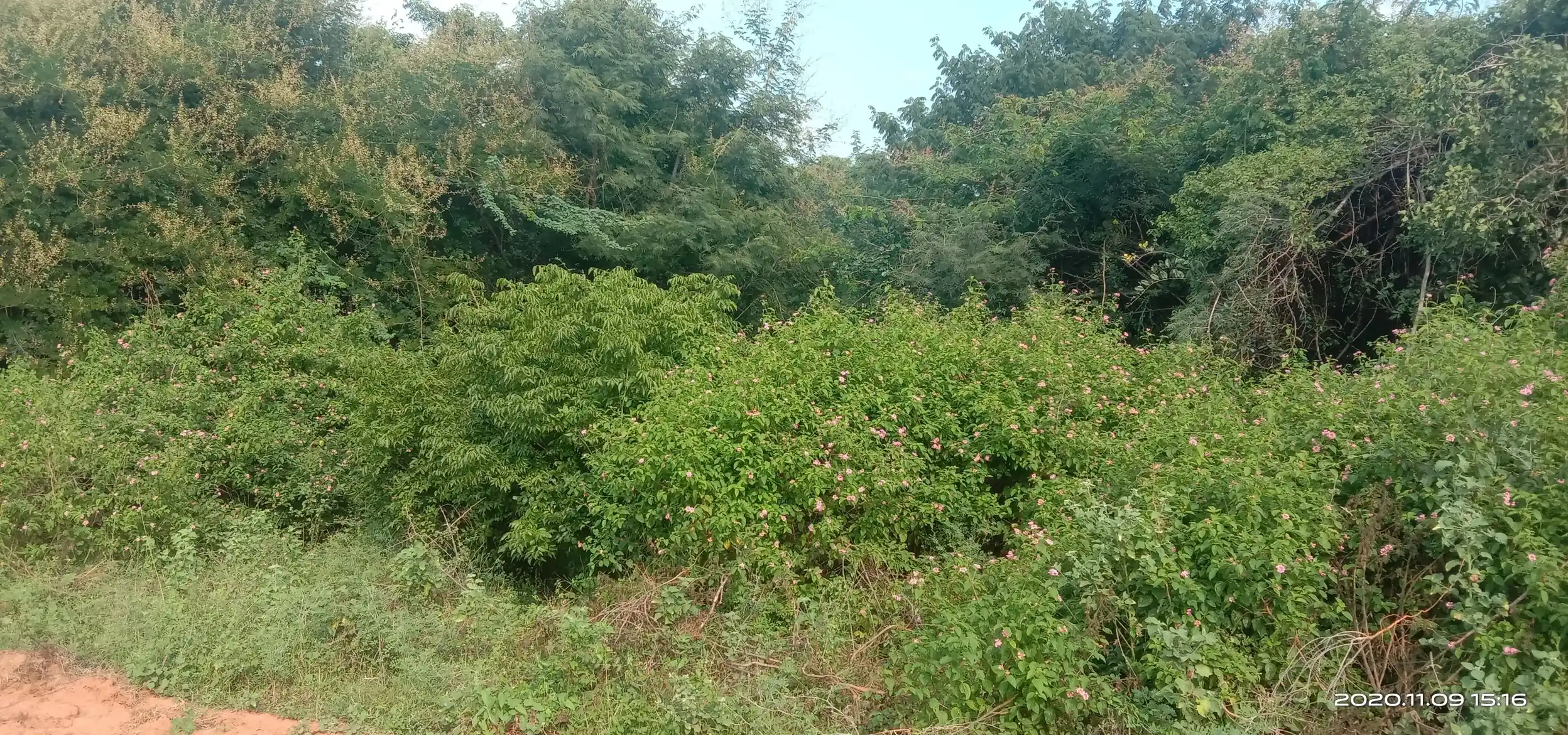 Arulmigu Kannimaar Temple, Sethur - 624401 அருள்மிகு கன்னிமார் திருக்கோயில், Sethur - 624401, Dindigul - Ancient Temple Architecture and History Image 3