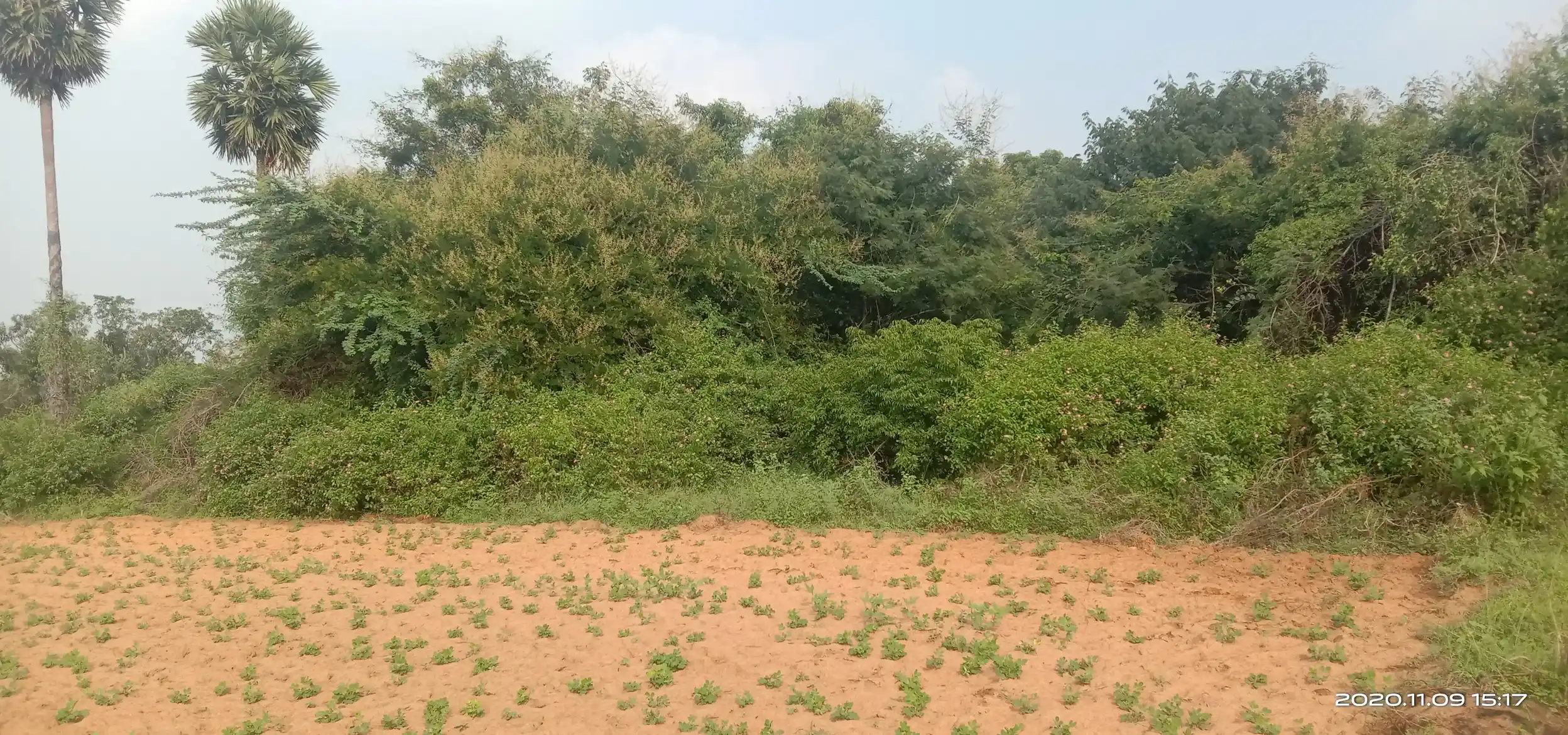 Arulmigu Kannimaar Temple, Sethur - 624401 அருள்மிகு கன்னிமார் திருக்கோயில், Sethur - 624401, Dindigul - Ancient Temple Architecture and History Image 4