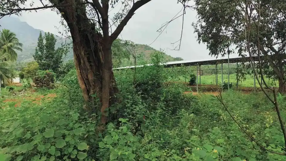 Arulmigu Kannimaar Temple, Sirankadu - 624201 Arulmigu Kannimaar Temple, Sirankadu - 624201, Dindigul - Ancient Temple Architecture and History Image 5