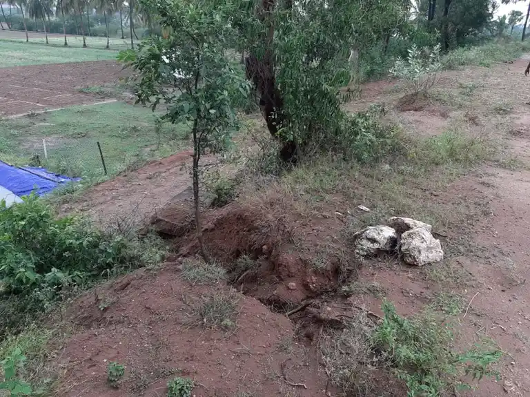 Arulmigu Kannimaar Temple, Thimmananalur - 624308