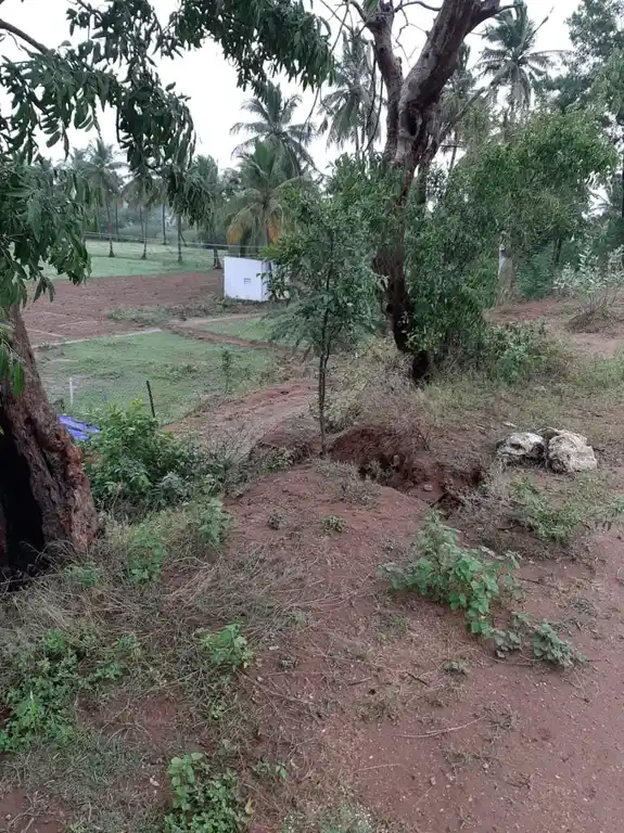 Arulmigu Kannimaar Temple, Thimmananalur - 624308 அருள்மிகு கன்னிமார் திருக்கோயில், Thimmananalur - 624308, Dindigul - Ancient Temple Architecture and History Image 2