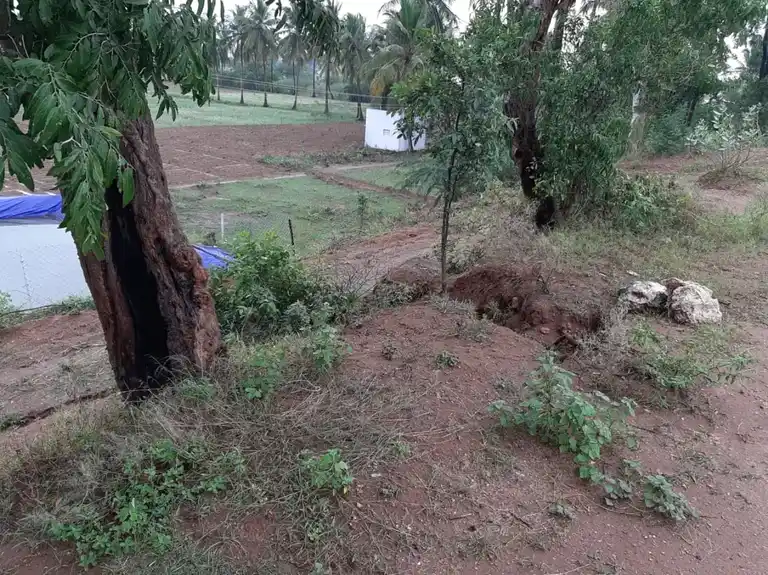 Arulmigu Kannimaar Temple, Thimmananalur - 624308 அருள்மிகு கன்னிமார் திருக்கோயில், Thimmananalur - 624308, Dindigul - Ancient Temple Architecture and History Image 3
