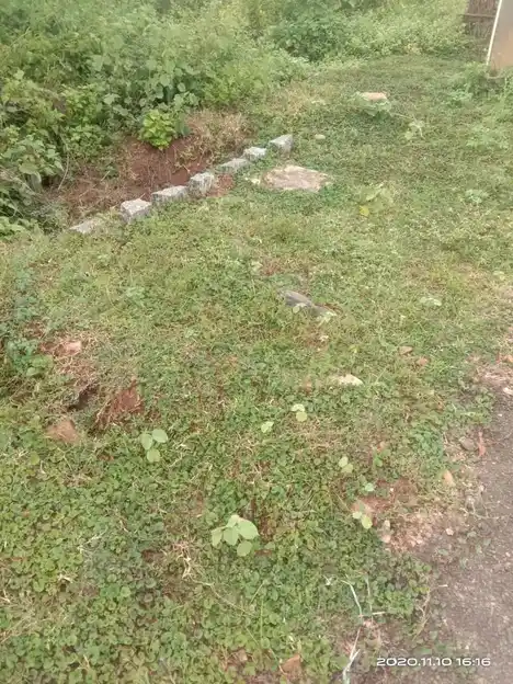 Arulmigu Kannimaar Temple, Uralipatty - 624402 அருள்மிகு கன்னிமார் திருக்கோவில், Uralipatty - 624402, Dindigul - Ancient Temple Architecture and History Image 3