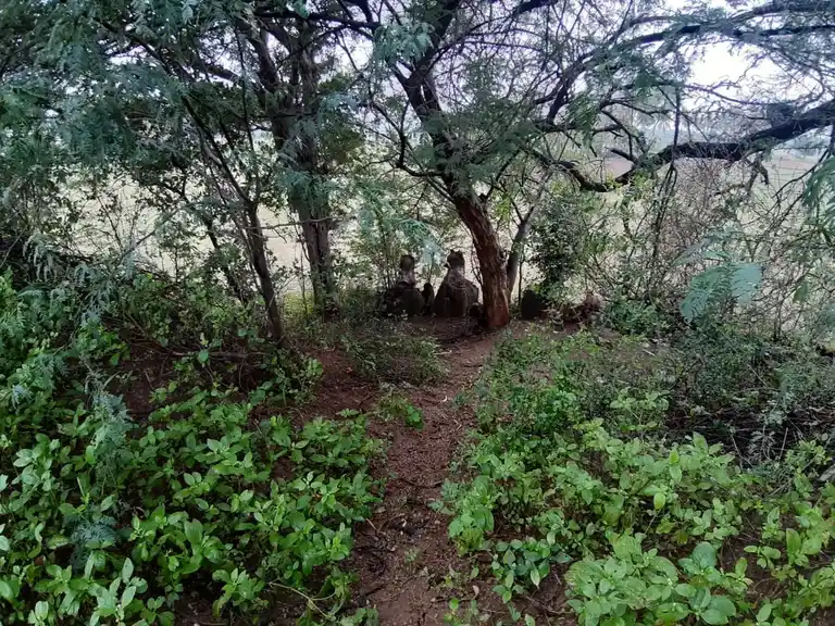 Arulmigu Kannimaar Temple, Vajraservaikaranpatti - 624620 அருள்மிகு கன்னிமார் கோயில், Vajraservaikaranpatti - 624620, Dindigul - Ancient Temple Architecture and History Image 2