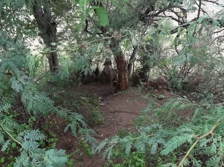 Arulmigu Kannimaar Temple, Vajraservaikaranpatti - 624620 அருள்மிகு கன்னிமார் கோயில், Vajraservaikaranpatti - 624620, Dindigul - Ancient Temple Architecture and History Image 3