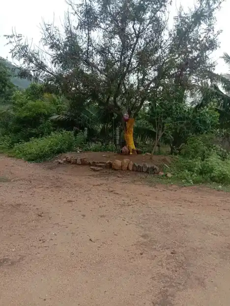 Arulmigu Kannimaar Temple, Valayagoundanpatti - 624707 அருள்மிகு வலையகவுண்டன்பட்டி மற்றும் கன்னிமார் ஆலயம், Valayagoundanpatti, Valayagoundanpatti - 624707, Dindigul - Ancient Temple Architecture and History Image 4