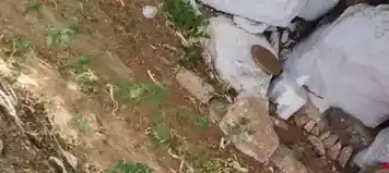 Arulmigu Kannimaar Temple, Veeralaptti - 624614 அருள்மிகு கன்னிமார் கோயில், Veeralaptti - 624614, Dindigul - Ancient Temple Architecture and History Image 2