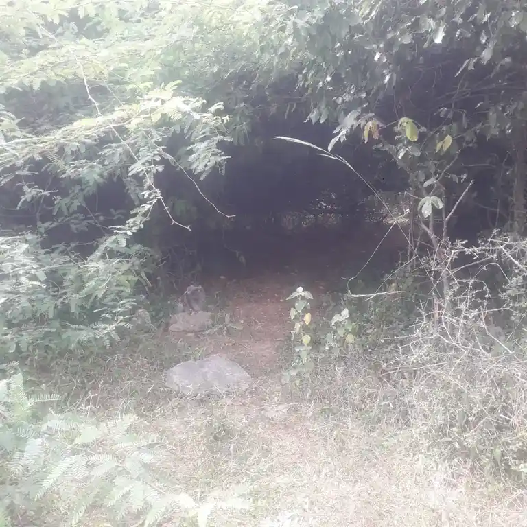 Arulmigu Kannimaarthevathai Temple, Ammanpettai - 622501