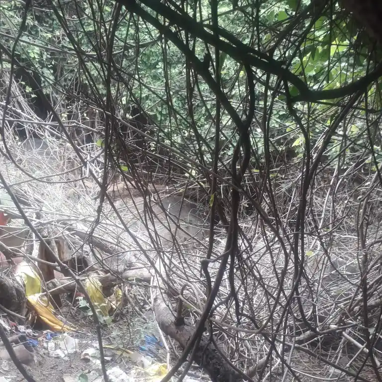 Arulmigu Kannimaarthevathai Temple, Ammanpettai - 622501 அருள்மிகு கன்னிமார்தேவதை திருக்கோயில், Ammanpettai - 622501, Pudukkottai - Ancient Temple Architecture and History Image 4