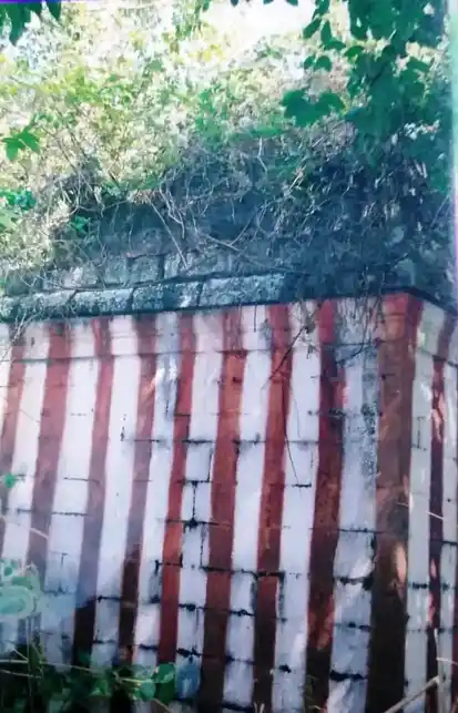 Arulmigu Kannimalainadhaswamy Temple, Pannaikadu - 624210