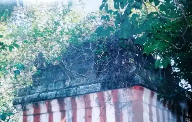 Arulmigu Kannimalainadhaswamy Temple, Pannaikadu - 624210 அருள்மிகு கன்னிமலைநாதஸ்வாமி திருக்கோயில், பண்ணைக்காடு - 624210, Dindigul - Ancient Temple Architecture and History Image 2