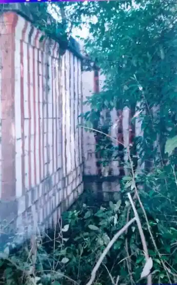 Arulmigu Kannimalainadhaswamy Temple, Pannaikadu - 624210 அருள்மிகு கன்னிமலைநாதஸ்வாமி திருக்கோயில், பண்ணைக்காடு - 624210, Dindigul - Ancient Temple Architecture and History Image 3