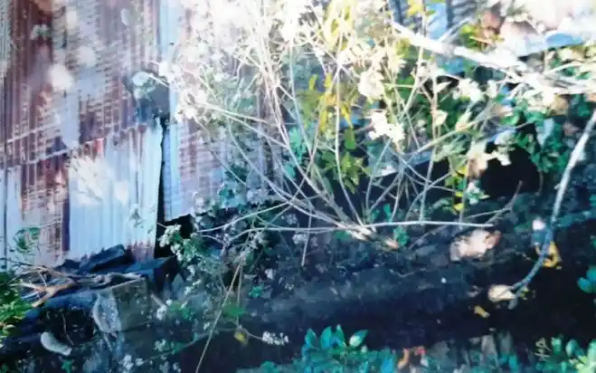 Arulmigu Kannimalainadhaswamy Temple, Pannaikadu - 624210 அருள்மிகு கன்னிமலைநாதஸ்வாமி திருக்கோயில், பண்ணைக்காடு - 624210, Dindigul - Ancient Temple Architecture and History Image 5