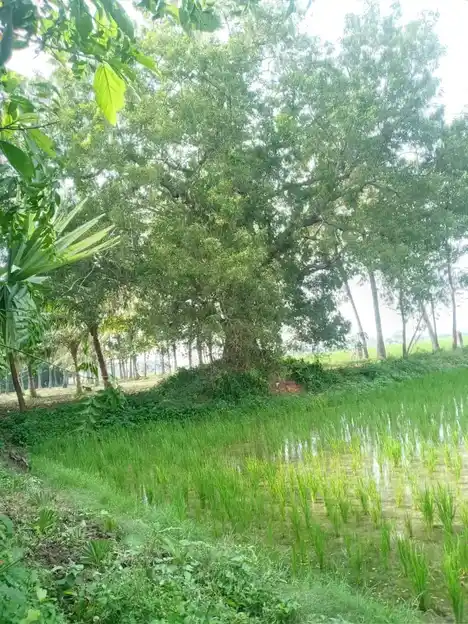 Arulmigu Kannimannarswamy Temple, Krishnapuram - 605106