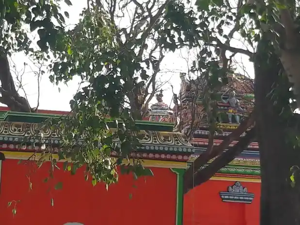 Arulmigu Kannimar Karupurayar Temple, G.Sangampalayam - 642107 அருள்மிகு கன்னிமார் கருப்புராயன் திருக்கோயில், ஜி .சங்கம்பாளையம் - 642107, Coimbatore - Ancient Temple Architecture and History Image 5