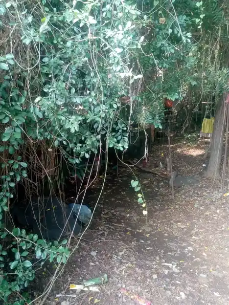 Arulmigu Kannimar & Muniappaswamy Temple, Kolathupalayam - 638152 Temple