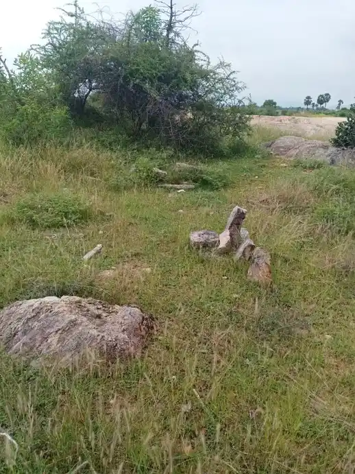 Arulmigu Kannimar Temple, Aavaniyapuram, Madurai - 625012 அருள்மிகு கன்னிமார் கோயில், Aavaniyapuram, Madurai - 625012, Madurai - Ancient Temple Architecture and History Image 8