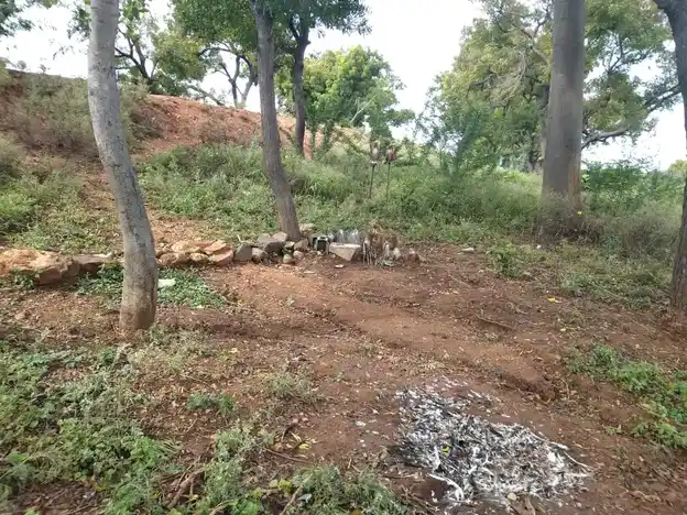 Arulmigu Kannimar Temple, Agaram - 620013 Arulmigu Kannimar Temple, Agaram - 620013, Thiruchirappalli - Ancient Temple Architecture and History Image 2