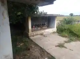 Arulmigu Kannimar Temple, Appananallur - 621208 Arulmigu Kannimar Temple, Appananallur - 621208, Thiruchirappalli - Ancient Temple Architecture and History Image 5