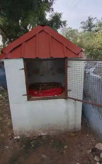 Arulmigu Kannimar Temple, Ariyanachipalayam - 642126 அருள்மிகு கன்னிமார் திருக்கோயில், Ariyanachipalayam - 642126, Tiruppur - Ancient Temple Architecture and History Image 3