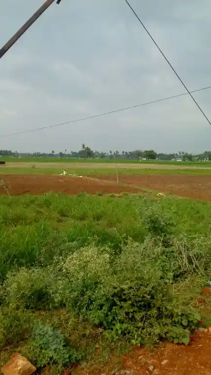 Arulmigu Kannimar Temple, Ariyavur - 620013 Temple