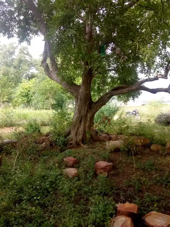 Arulmigu Kannimar Temple, Ariyavur - 620013 Arulmigu Kannimar Temple, Ariyavur - 620013, Thiruchirappalli - Ancient Temple Architecture and History Image 3