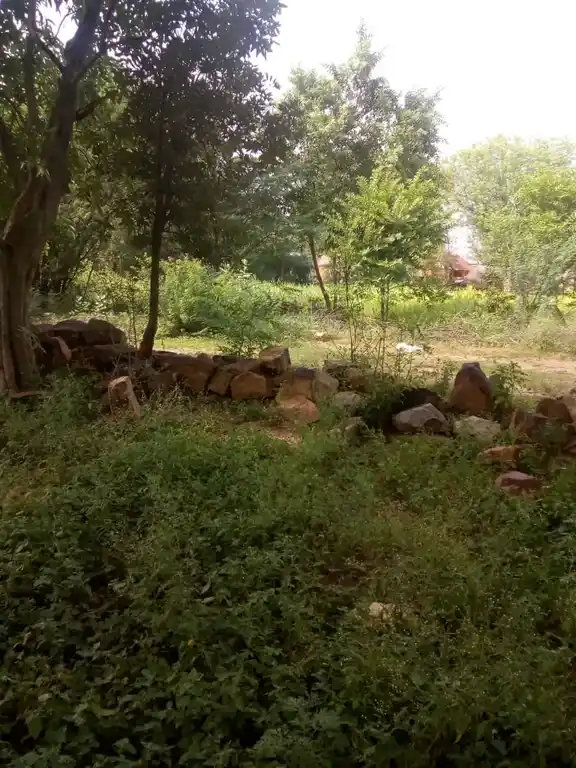 Arulmigu Kannimar Temple, Ariyavur - 620013 Arulmigu Kannimar Temple, Ariyavur - 620013, Thiruchirappalli - Ancient Temple Architecture and History Image 6