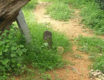 அருள்மிகு கன்னிமார் திருக்கோயில், அய்யம்பாளையம் - 638052 - Main View