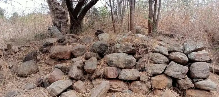 Arulmigu Kannimar Temple, Enunganoor - 639205