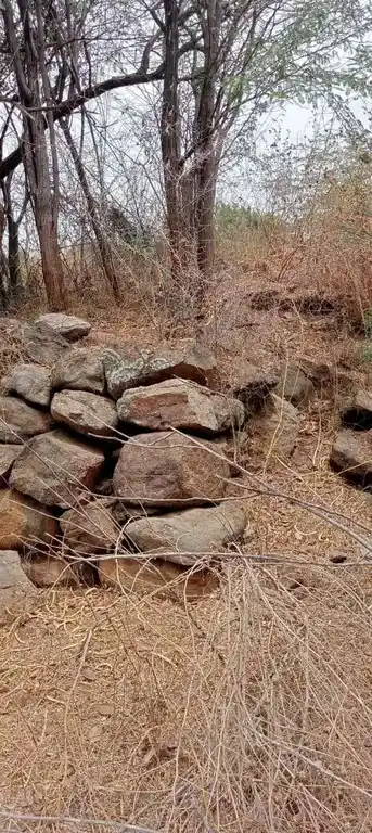 Arulmigu Kannimar Temple, Enunganoor - 639205 அருள்மிகு கன்னிமார் திருக்கோயில், Enunganoor - 639205, Karur - Ancient Temple Architecture and History Image 2