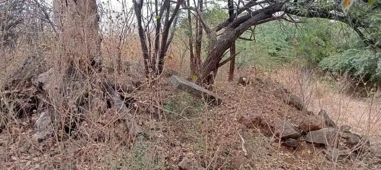 Arulmigu Kannimar Temple, Enunganoor - 639205 அருள்மிகு கன்னிமார் திருக்கோயில், Enunganoor - 639205, Karur - Ancient Temple Architecture and History Image 3