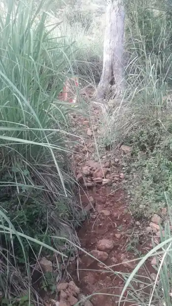Arulmigu Kannimar Temple, Erumarpatti - 625527 அருள்மிகு கன்னிமார் திருக்கோயில், Erumarpatti - 625527, Madurai - Ancient Temple Architecture and History Image 2