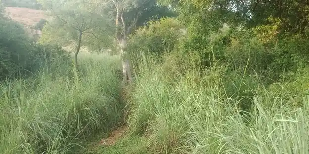 Arulmigu Kannimar Temple, Erumarpatti - 625527 அருள்மிகு கன்னிமார் திருக்கோயில், Erumarpatti - 625527, Madurai - Ancient Temple Architecture and History Image 4