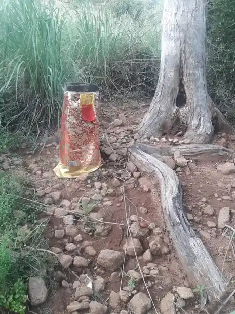 Arulmigu Kannimar Temple, Erumarpatti - 625527 அருள்மிகு கன்னிமார் திருக்கோயில், Erumarpatti - 625527, Madurai - Ancient Temple Architecture and History Image 10
