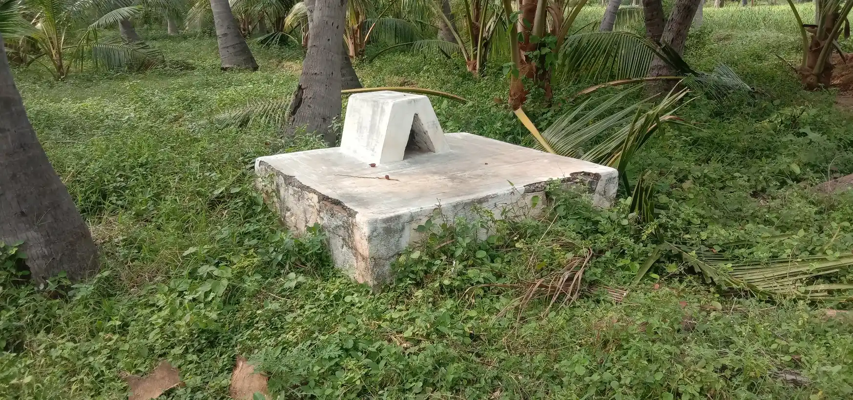 Arulmigu Kannimar Temple, G. Kallupatti - 625203 அருள்மிகு கன்னிமார் திருக்கோயில், G. Kallupatti - 625203, Theni - Ancient Temple Architecture and History Image 3